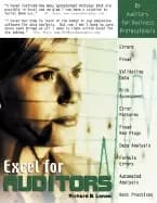 excel for auditors audit spreadsheets using excel 97 through excel 2007