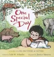 one special day a story for big brothers and sisters