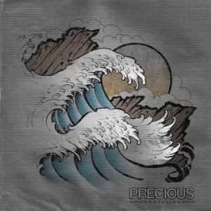 Unravelings by Precious Vinyl Album