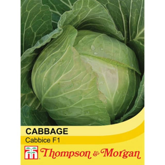 Thompson & Morgan Cabbage Cabbice F1 1 Seed Packet (30 Seeds)