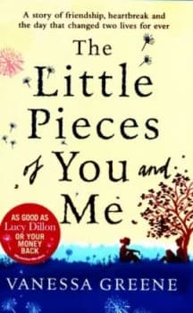The Little Pieces of You and Me by Vanessa Greene Paperback
