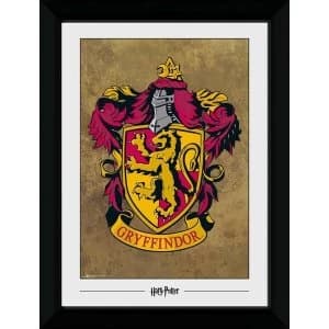 Harry Potter Gryffindor Collector Print