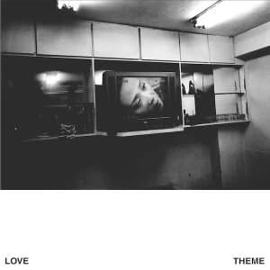 Love Theme - Love Theme Vinyl