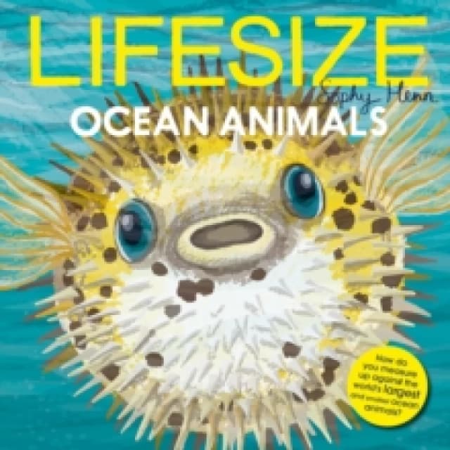 Lifesize Ocean Animals Paperback / softback