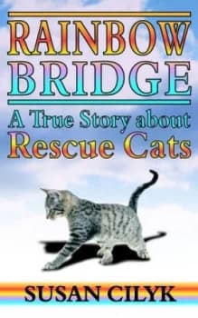 Rainbow Bridge by Susan Cilyk Book