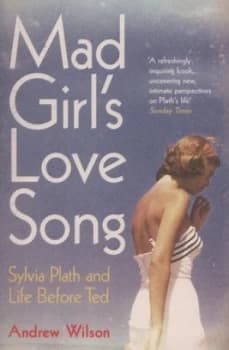 Mad Girls Love Song by Andrew Wilson Book