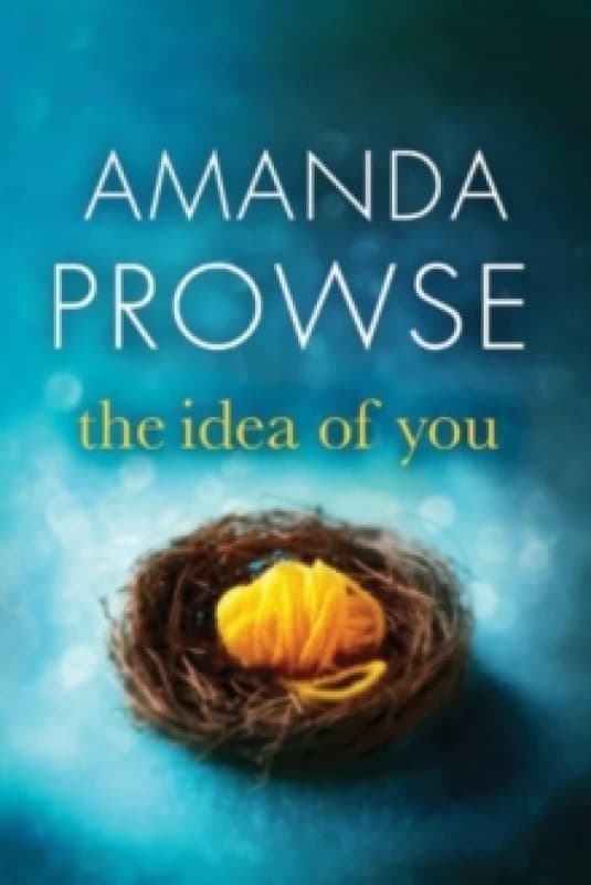 The Idea of You by Amanda Prowse Paperback