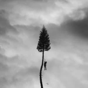 A Black Mile to the Surface by Manchester Orchestra CD Album