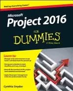 project 2016 for dummies