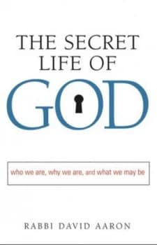 The Secret Life of God by David Aaron Hardback