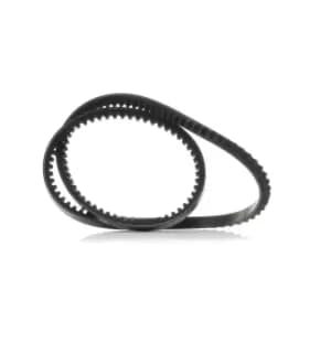 RIDEX V Belt 10C0008 Fenner Belt VW,AUDI,BMW,GOLF I (17),SCIROCCO (53B),Passat Variant (33B),PASSAT (32B),PASSAT Stufenheck (32B),90 (89, 89Q, 8A, B3)