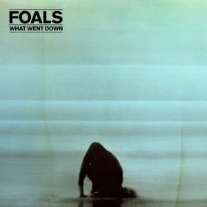 Foals What Went Down Deluxe CDDVD