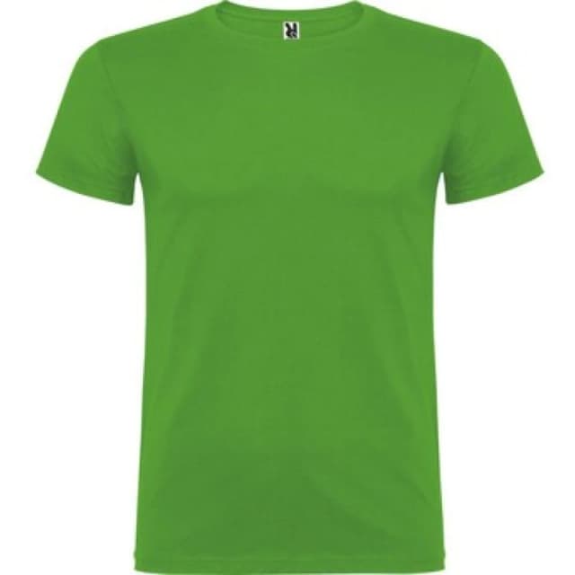 ROLY ROLY Men Beagle Short-Sleeved T-Shirt in Light Green Size: X-Small Light Green XS Male 5063527536044