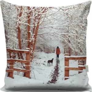 A13022 Multicolor Cushion