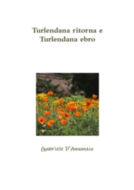 Turlendana Ritorna E Turlendana Ebro Paperback / softback