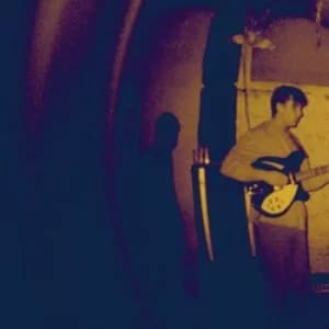 Wordless Wonder by Real Numbers Vinyl Album