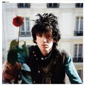 Nikki Sudden - The Bible Belt Vinyl