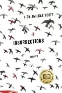 insurrections stories