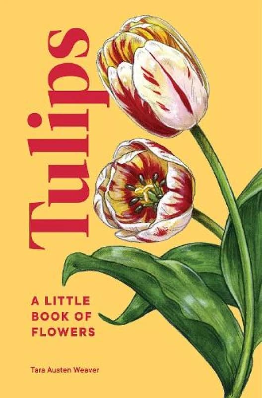 Tulips : A Little Book of Flowers Hardback