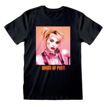Birds Of Prey - Gradient Unisex X-Large T-Shirt (Black)