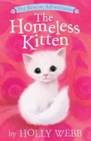 homeless kitten