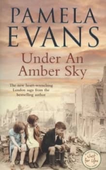 Under an Amber Sky by Pamela Evans Paperback