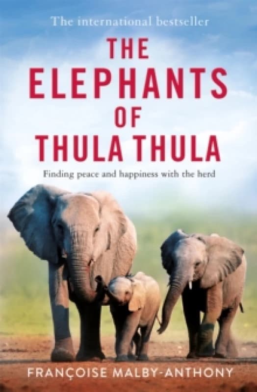 The Elephants of Thula Thula : Finding peace and happiness with the herd Paperback / softback