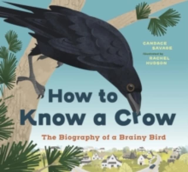 How to Know a Crow : The Biography of a Brainy Bird Paperback / softback