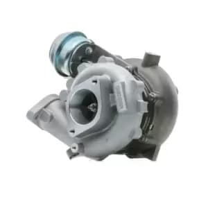 RIDEX Turbocharger NISSAN 2234C0189 14411EC00A,14411EC00B,14411EC00C Turbolader,Charger, charging system 14411EC00E,JIC02166I