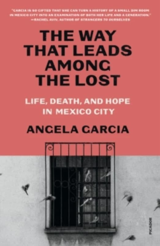 The Way That Leads Among the Lost. Paperback. By Angela Garcia Books