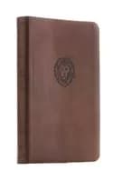 nkjv thinline bible youth edition leathersoft brown red letter edition comf