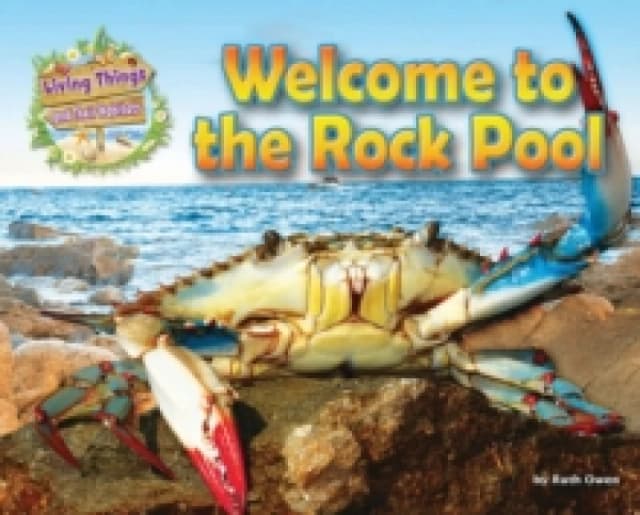 Welcome to the Rock Pool by Ruth Owen Book