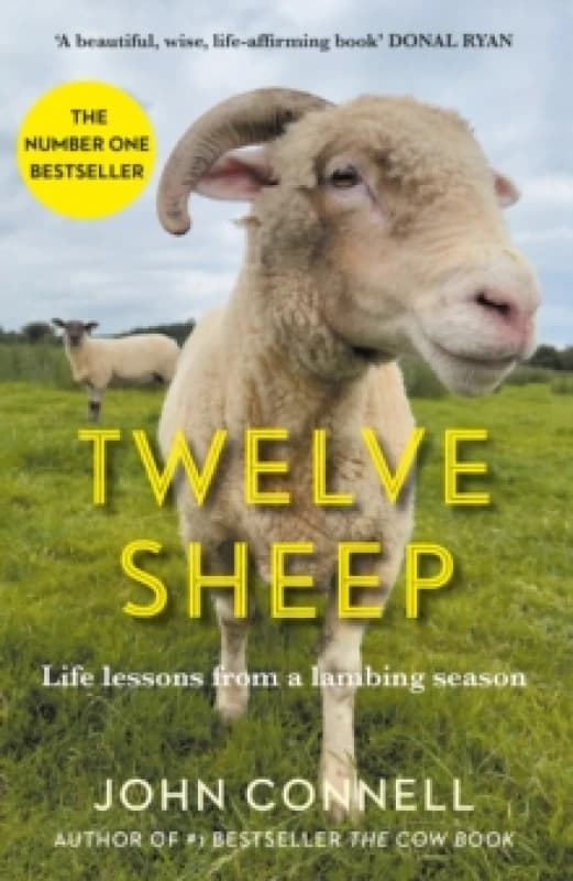 Twelve Sheep : Life lessons from a lambing season Hardback