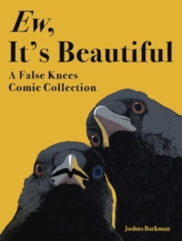 Ew, It's Beautiful : A False Knees Comic Collection Paperback / softback