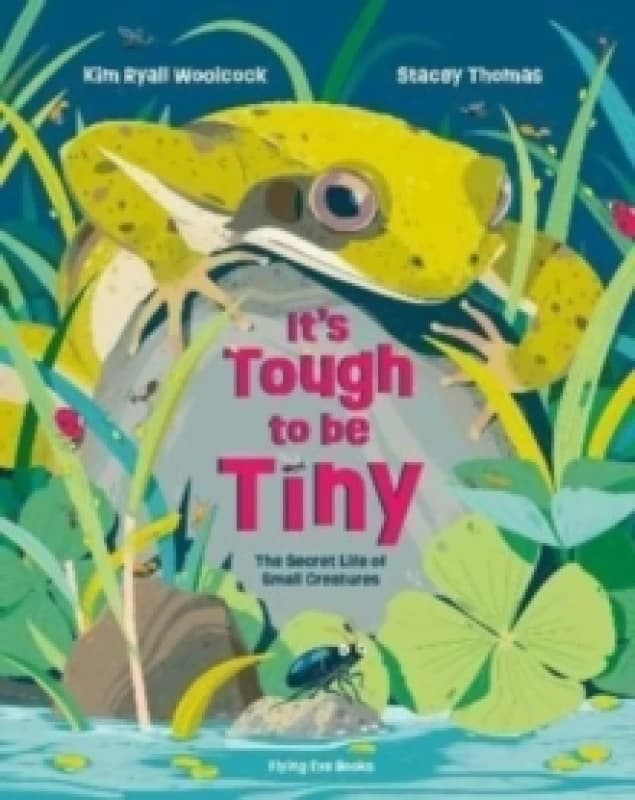 It's Tough to be Tiny : The secret life of small creatures Hardback