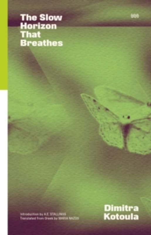 The Slow Horizon That Breathes Paperback / softback