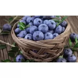 Thompson & Morgan Thompson and Morgan Blueberry Bluecrop 2 litre x 1