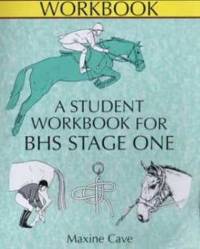 A Student Workbok for Bhs Stage One by Maxine Cave Book