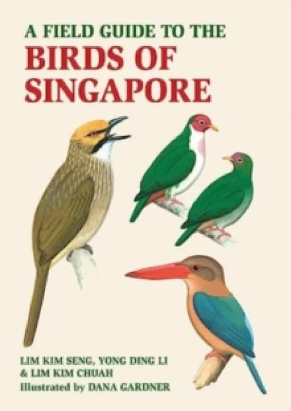 A Field Guide to the Birds of Singapore Paperback / softback