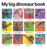 my big dinosaur book