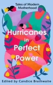 Hurricanes in Perfect Power : Tales of Modern Motherhood