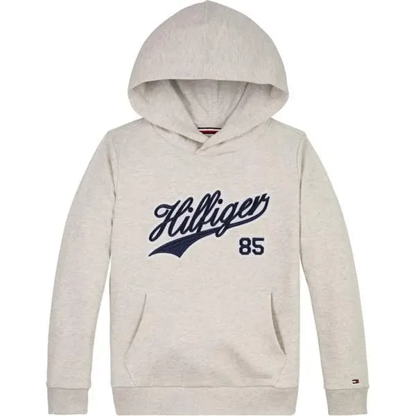 Tommy Hilfiger HILFIGER SCRIPT HOODIE OTH Hoodies 4Y Red 53946608135