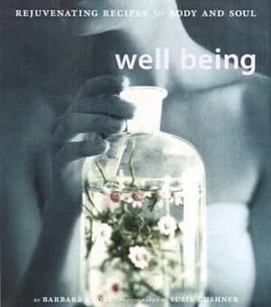 Well Being by Barbara Close Book