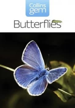 Butterflies by Michael Chinery Paperback