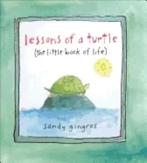 lessons of a turtle