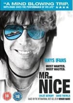 Mr Nice
