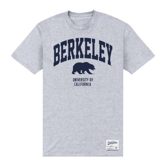 Berkeley Mens Bear T-Shirt in Grey Size: 3XL Grey Male 3XL