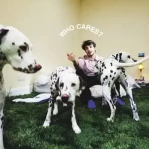 Rex Orange County - Who Cares? Vinyl