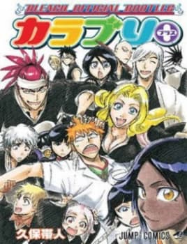 Color Bleach by Tite Kubo Paperback