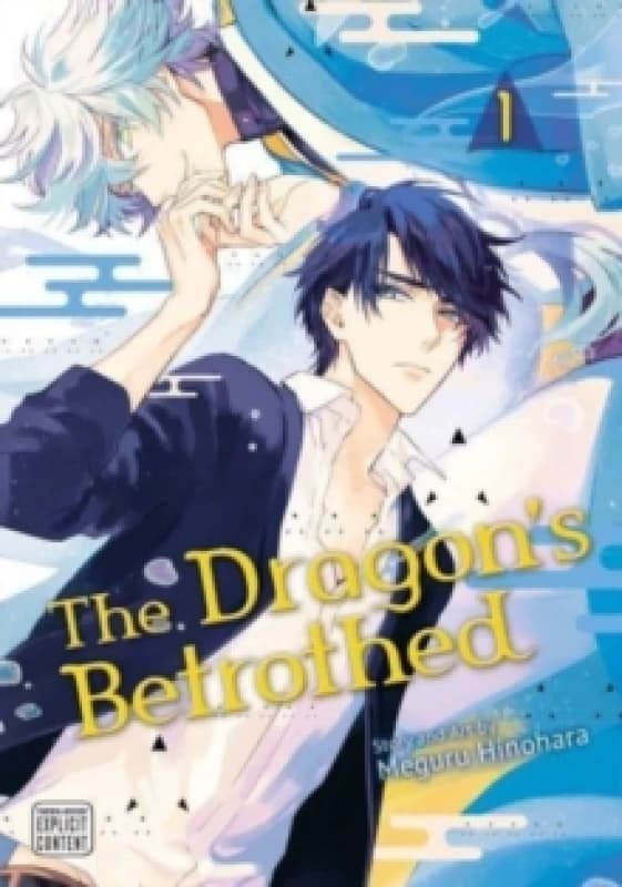 Dragon's Betrothed, Vol. 1 Paperback / softback